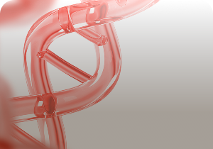 DNA helix graphic – polynucleotides (salmon DNA)