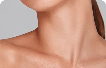 Neck – a woman's neck and collarbones